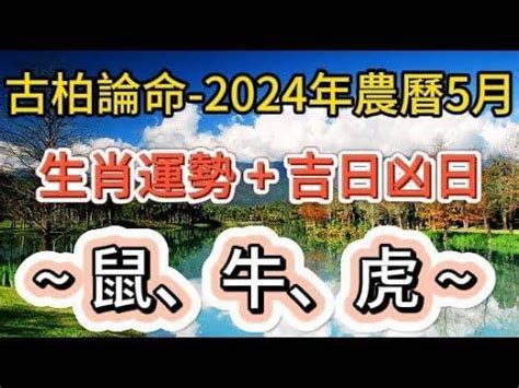 張古柏算命準嗎|【古柏論命】 張古柏的視頻簡介